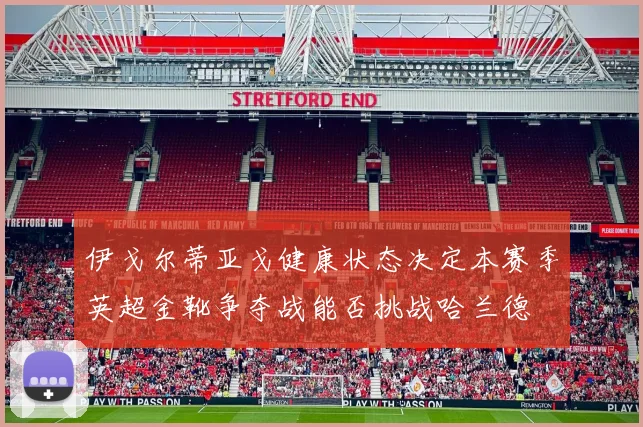 伊戈尔蒂亚戈健康状态决定本赛季英超金靴争夺战能否挑战哈兰德
